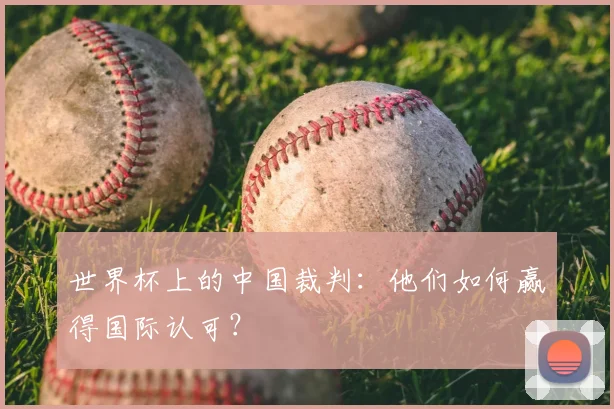 世界杯上的中国裁判：他们如何赢得国际认可？