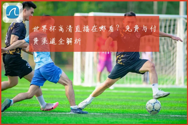 世界杯高清直播在哪看？免费与付费渠道全解析