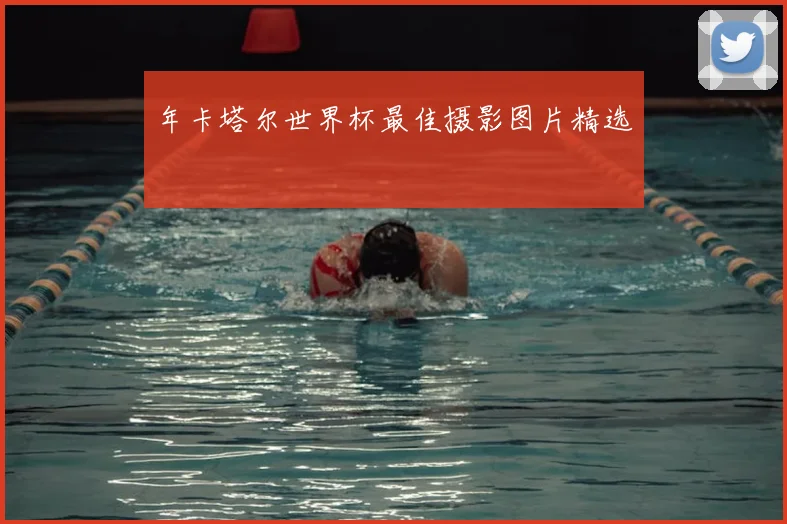 年卡塔尔世界杯最佳摄影图片精选