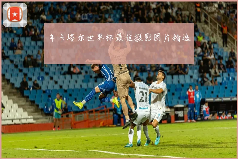 年卡塔尔世界杯最佳摄影图片精选